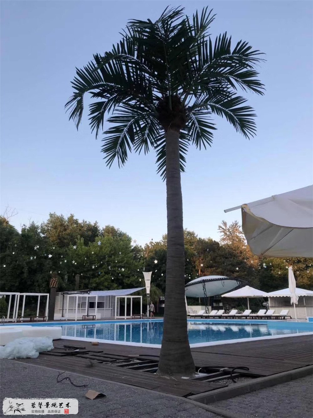 蓉馨景观国外客户回传案例：仿真椰子树棕榈树 (1)
