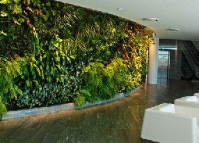 办公室仿真植物墙