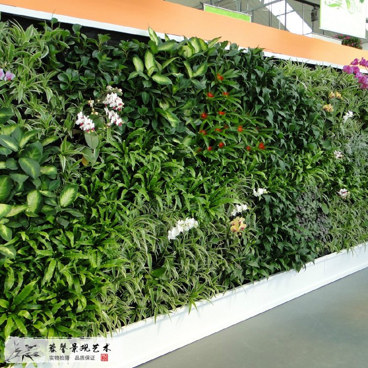 仿真植物墙与真植物墙